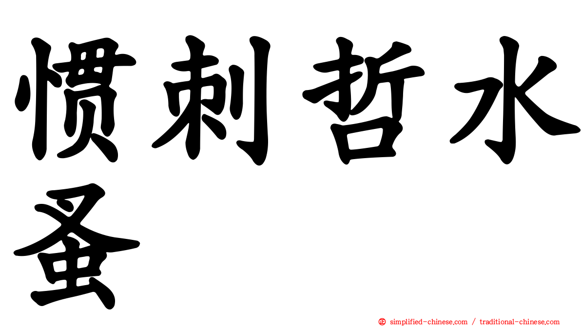 惯刺哲水蚤