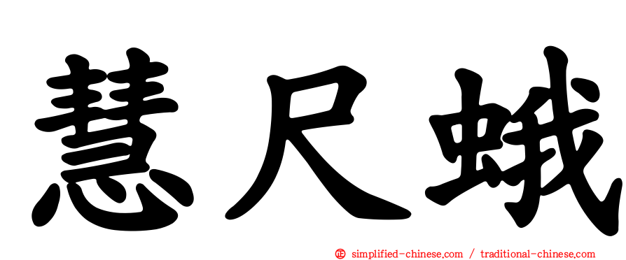慧尺蛾