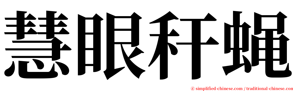 慧眼秆蝇 serif font