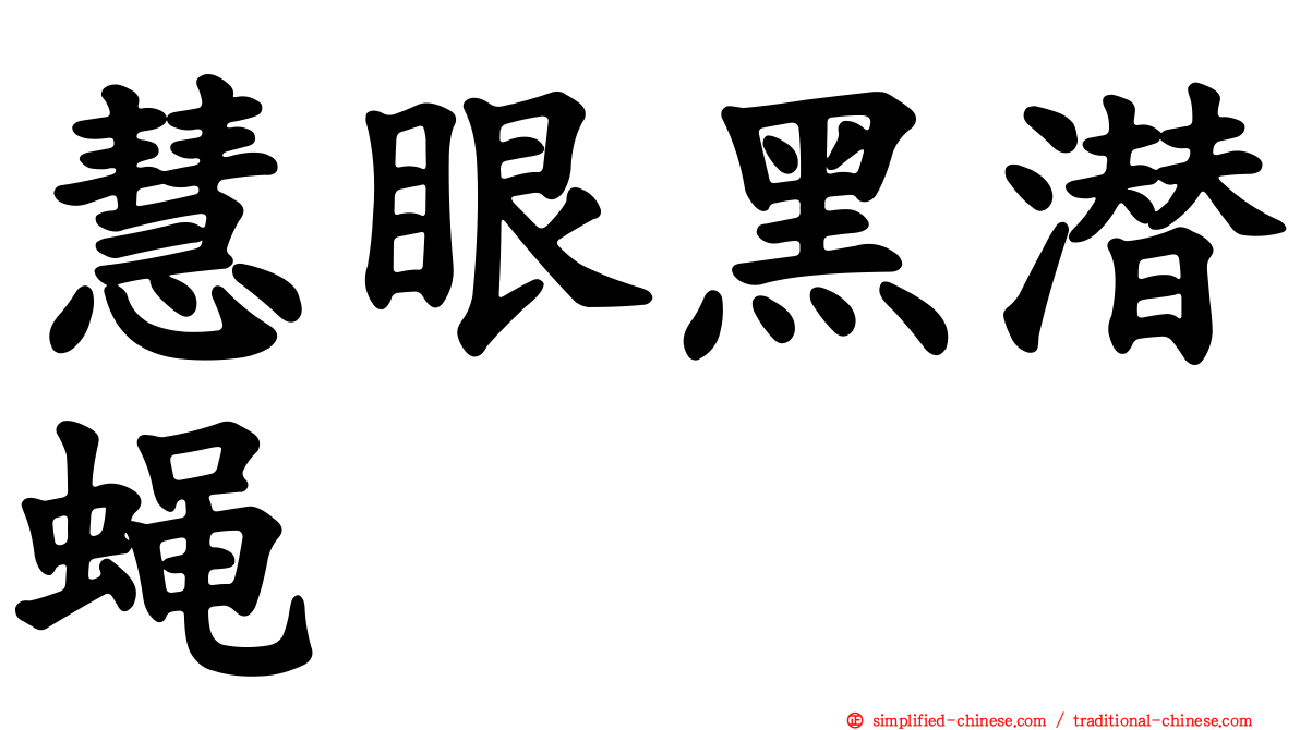 慧眼黑潜蝇