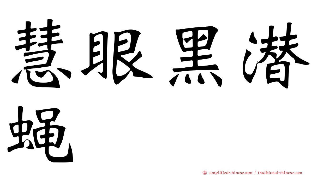 慧眼黑潜蝇