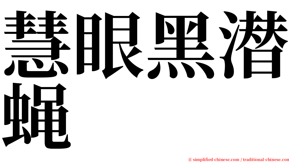 慧眼黑潜蝇 serif font