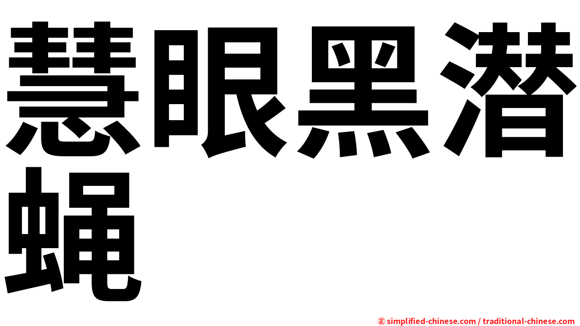 慧眼黑潜蝇