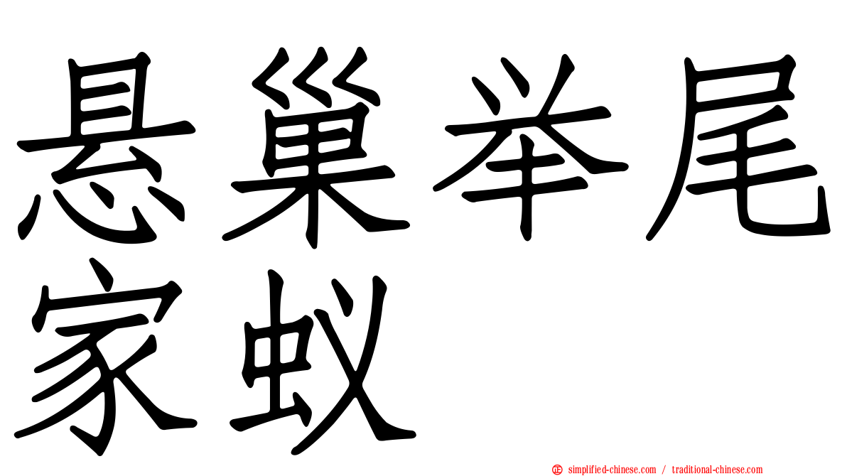 悬巢举尾家蚁