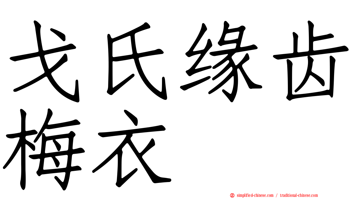 戈氏缘齿梅衣