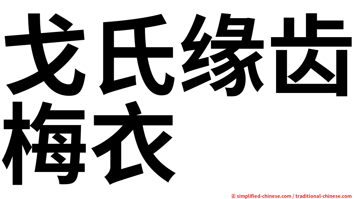戈氏缘齿梅衣