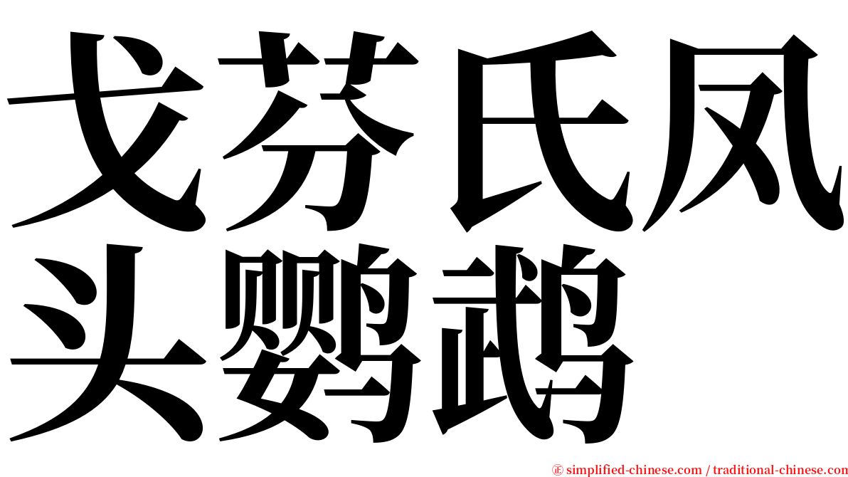 戈芬氏凤头鹦鹉 serif font