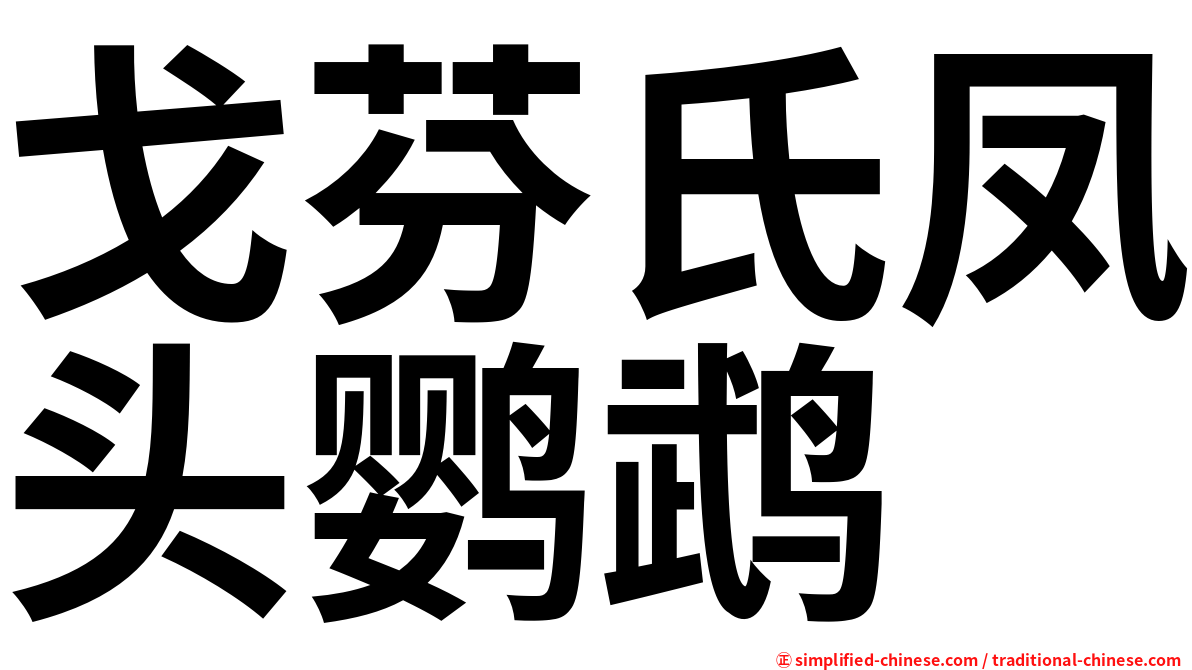 戈芬氏凤头鹦鹉