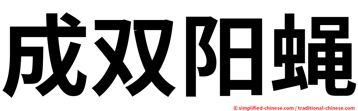 成双阳蝇