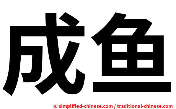成鱼