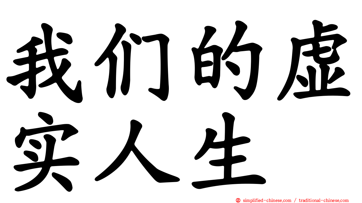 我们的虚实人生