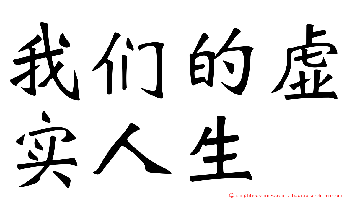 我们的虚实人生