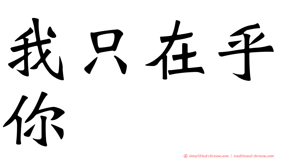我只在乎你