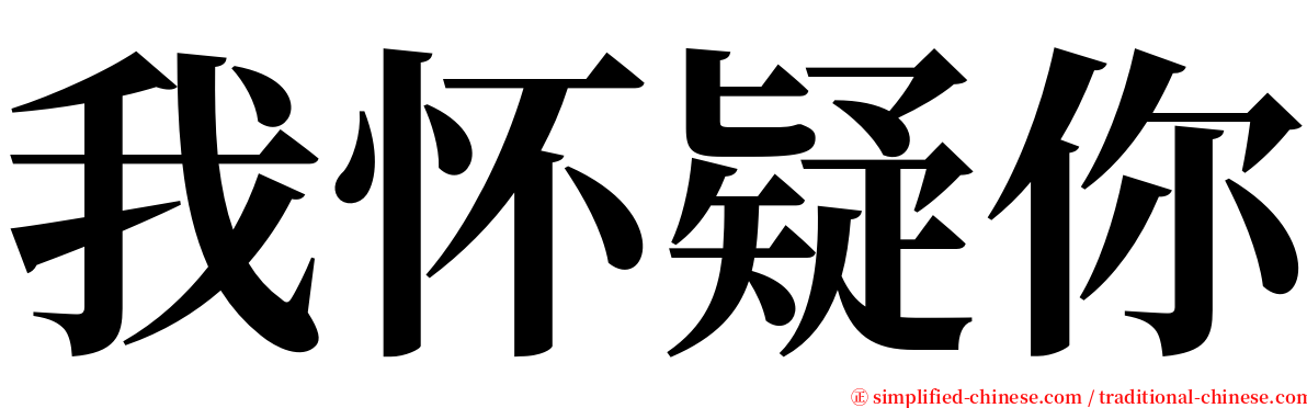 我怀疑你 serif font