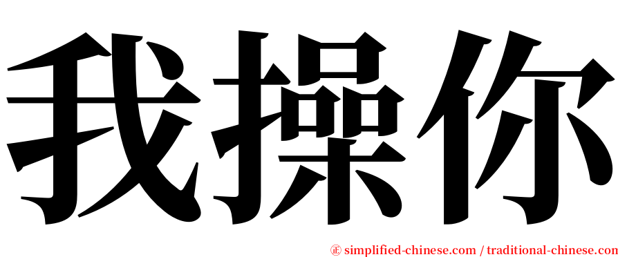 我操你 serif font