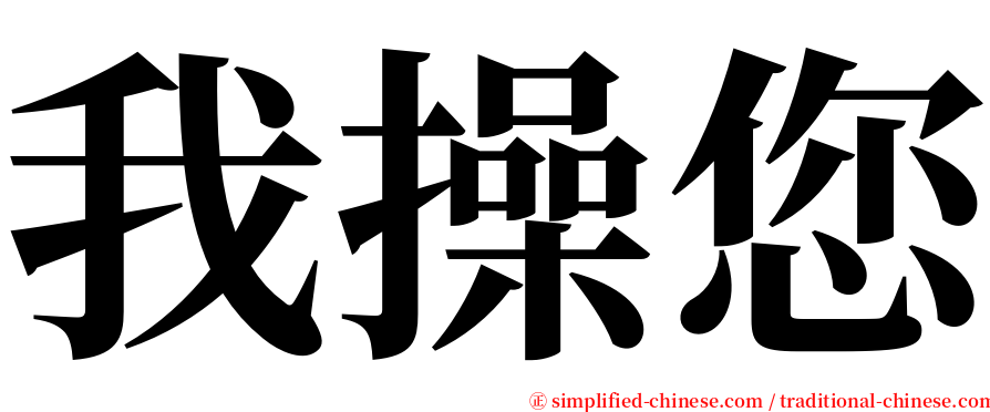 我操您 serif font