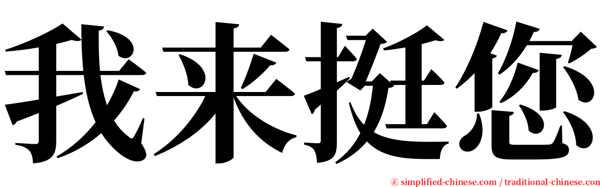 我来挺您 serif font