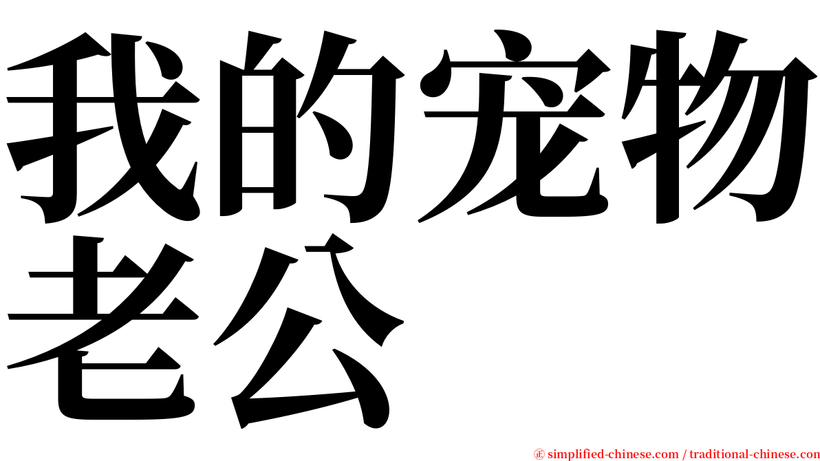 我的宠物老公 serif font