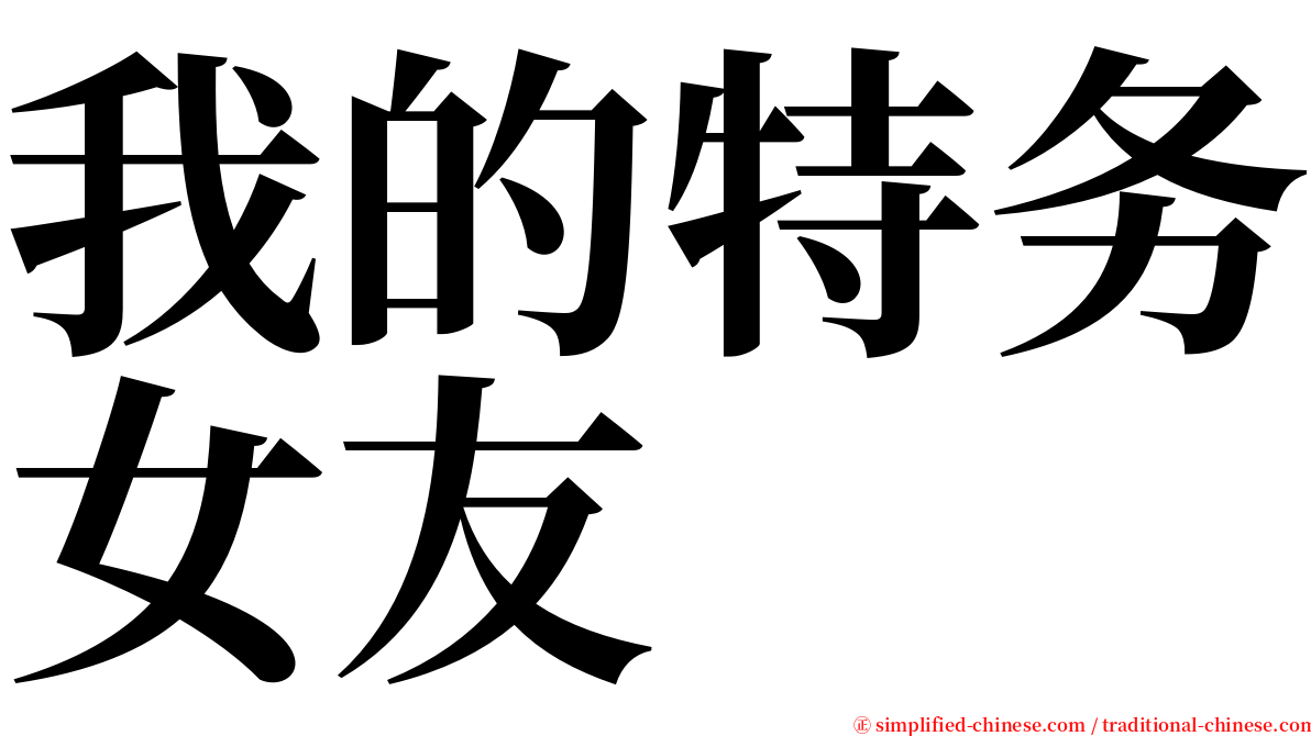 我的特务女友 serif font