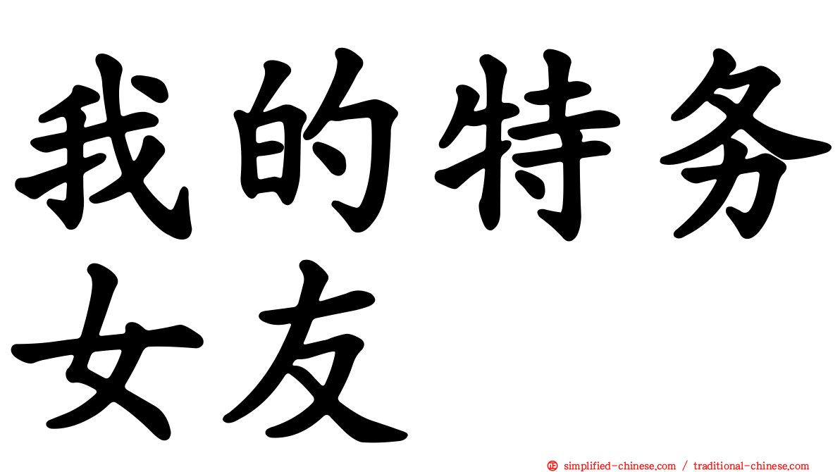 我的特务女友