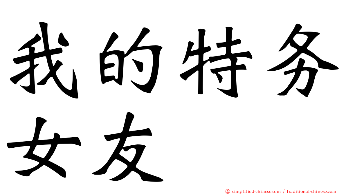 我的特务女友