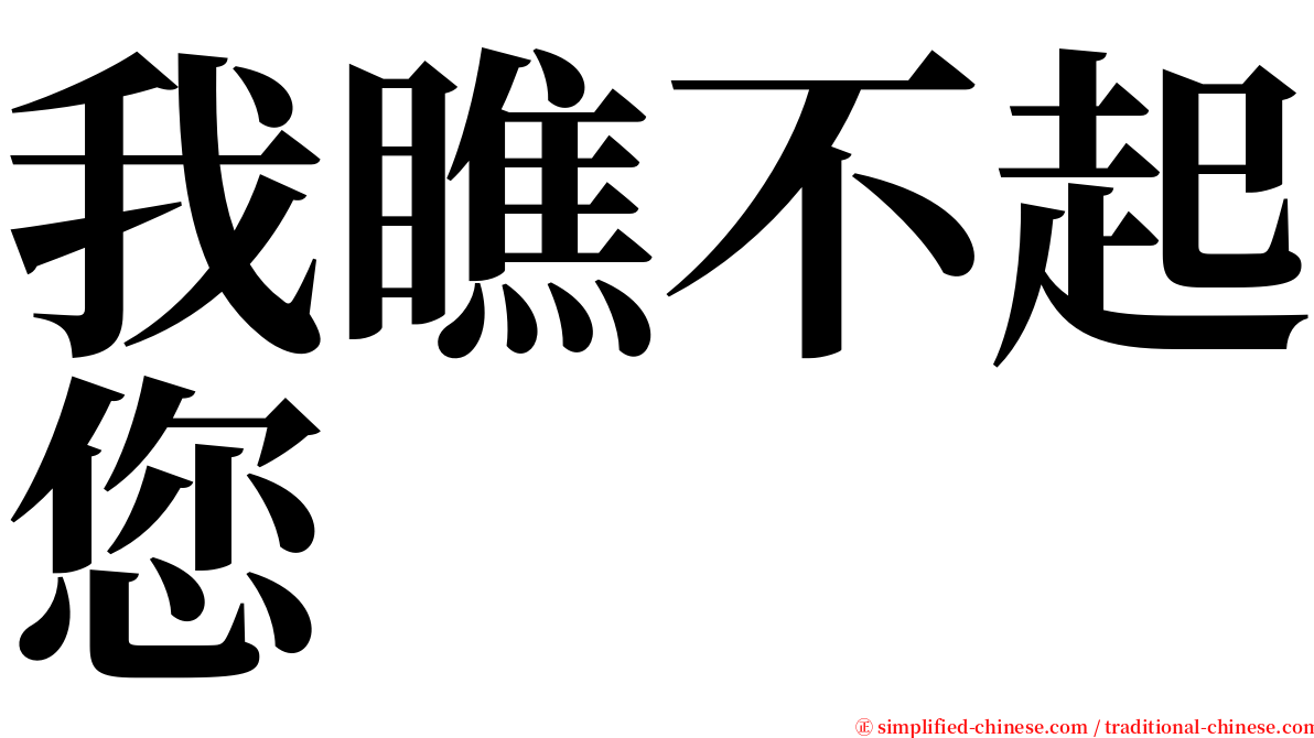 我瞧不起您 serif font