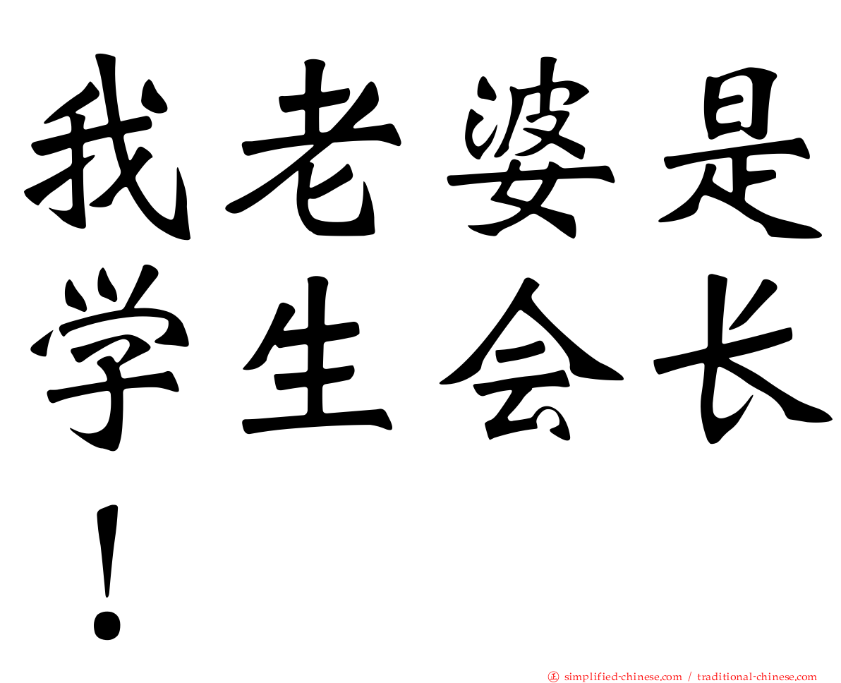 我老婆是学生会长！