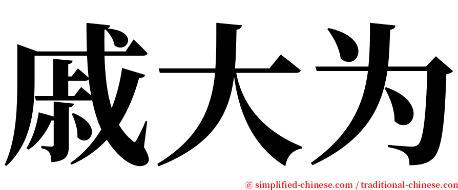 戚大为 serif font