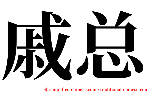 戚总 serif font