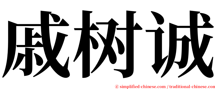 戚树诚 serif font