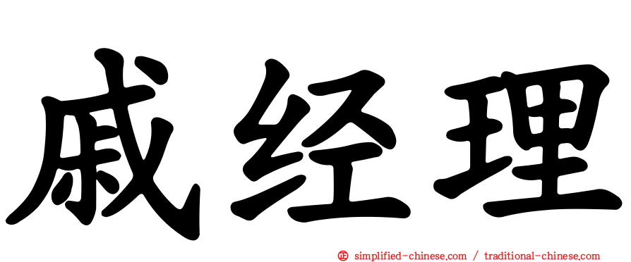戚经理