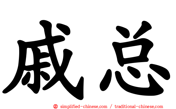 戚总