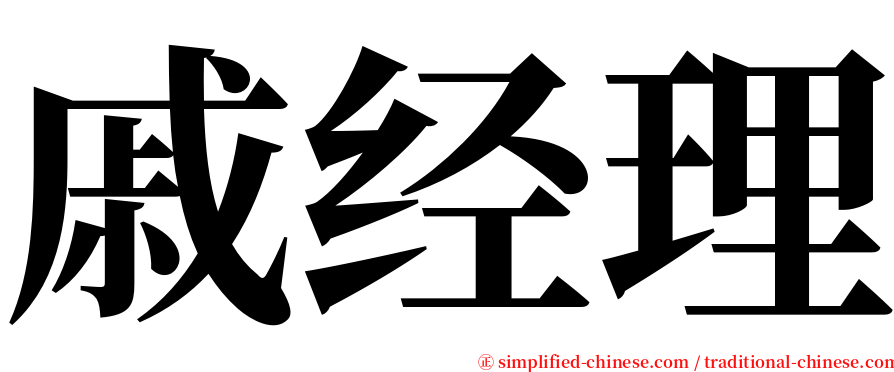 戚经理 serif font