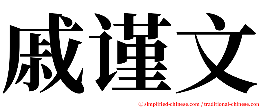 戚谨文 serif font