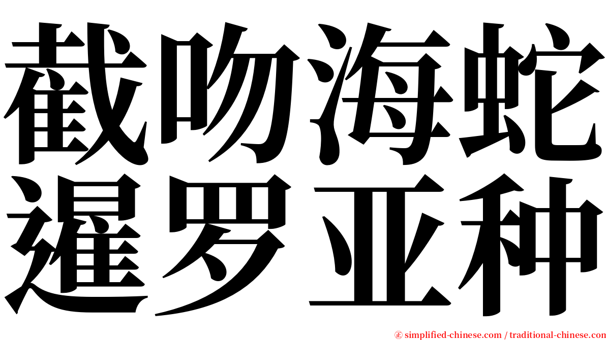 截吻海蛇暹罗亚种 serif font