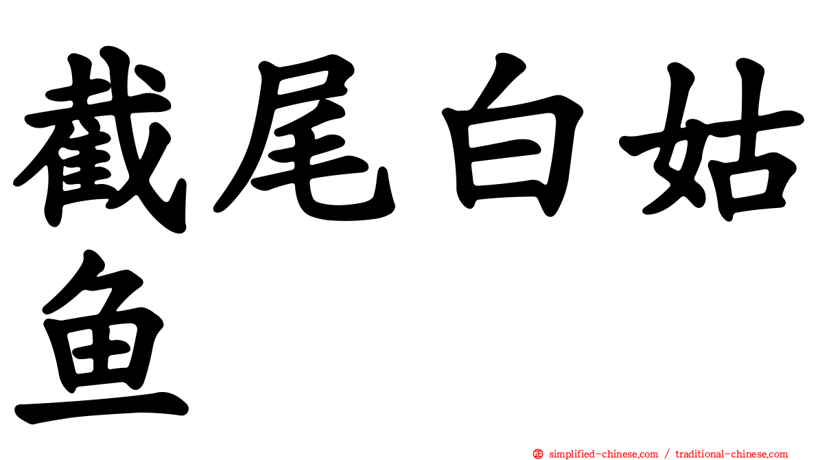 截尾白姑鱼