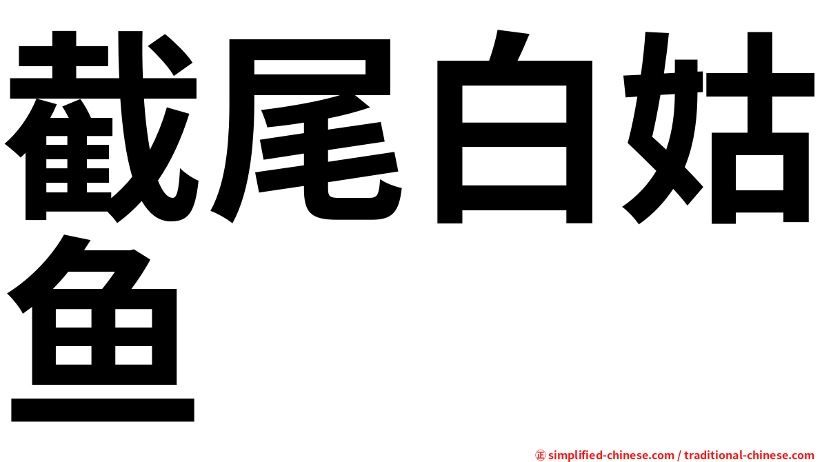 截尾白姑鱼