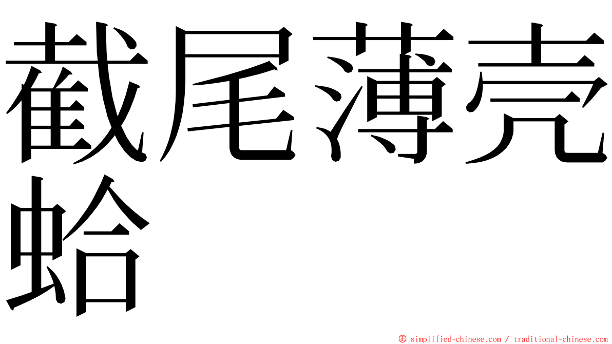 截尾薄壳蛤 ming font
