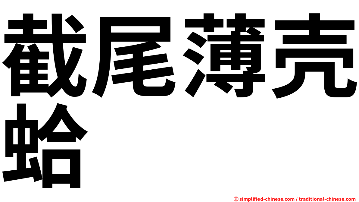 截尾薄壳蛤