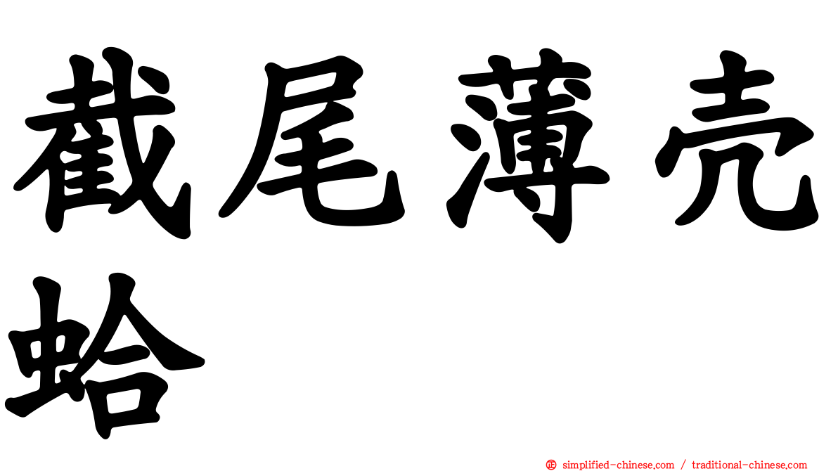 截尾薄壳蛤
