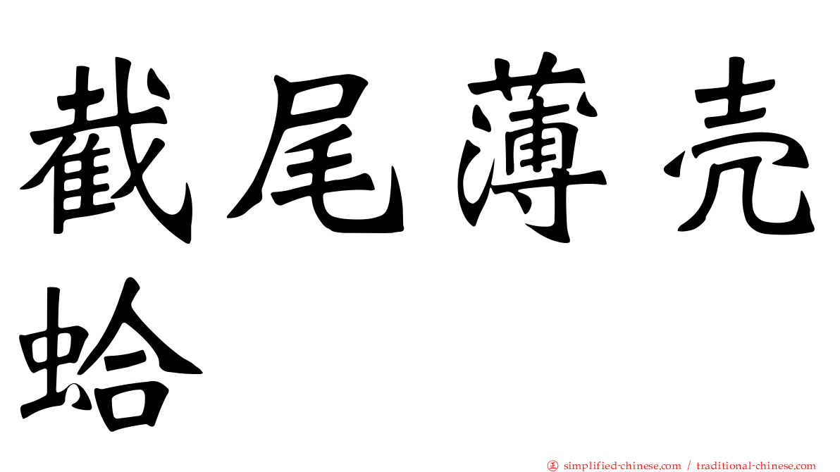 截尾薄壳蛤