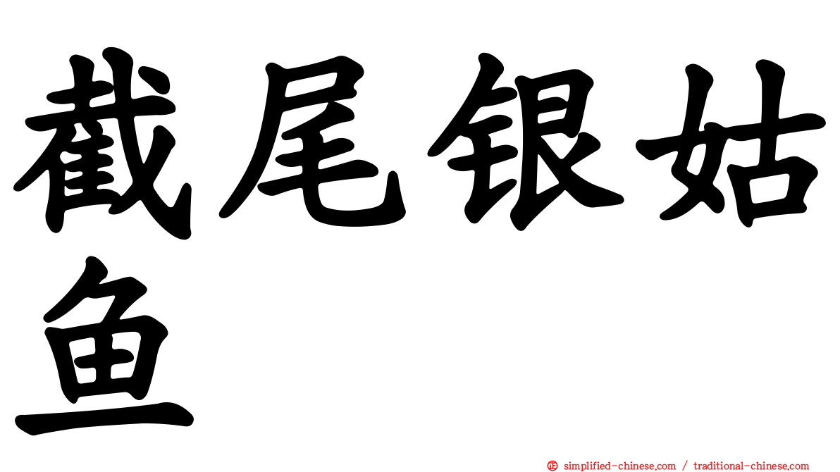 截尾银姑鱼