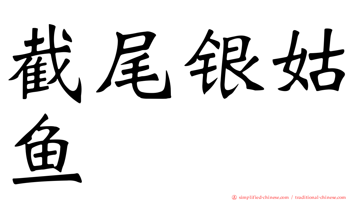 截尾银姑鱼