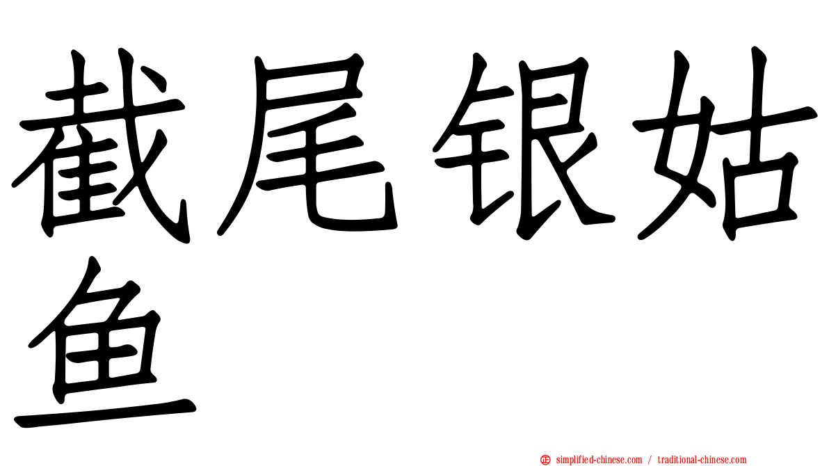 截尾银姑鱼
