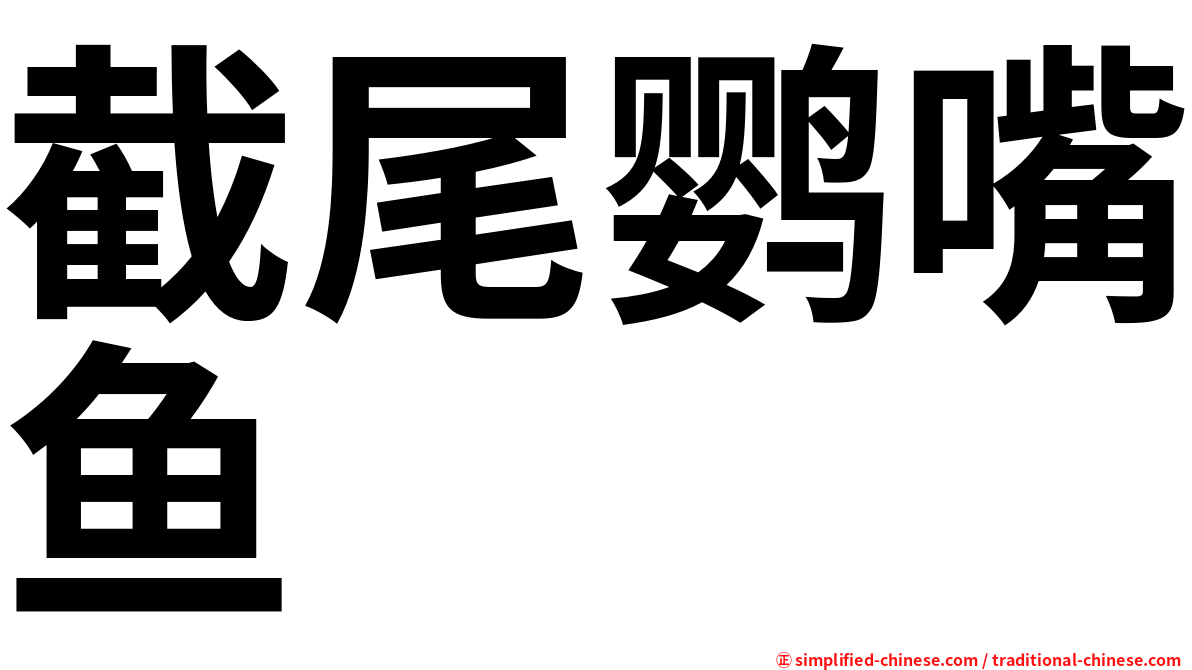 截尾鹦嘴鱼