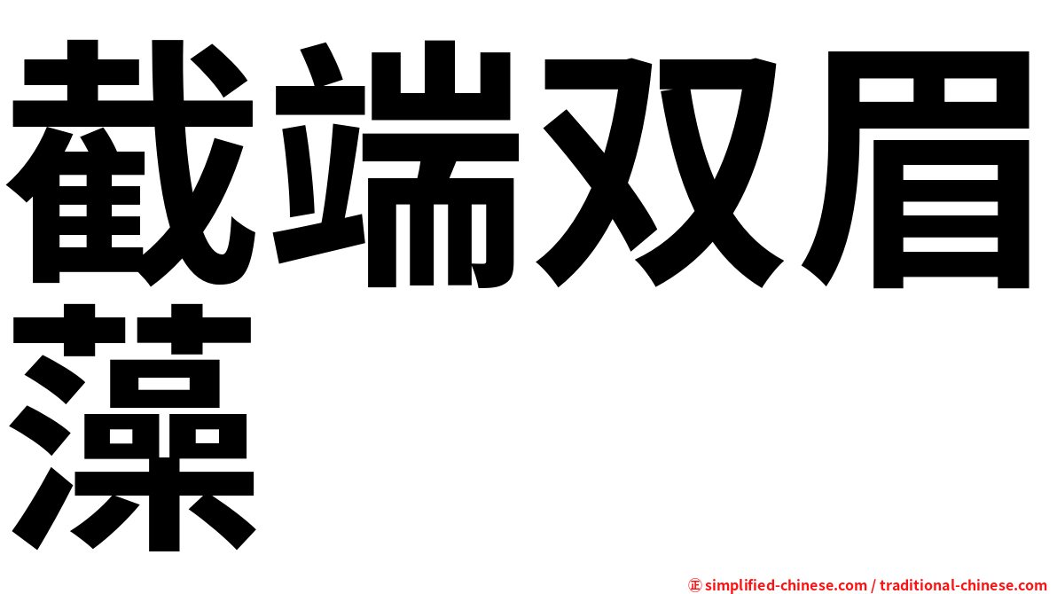 截端双眉藻