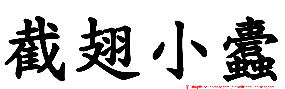 截翅小蠹