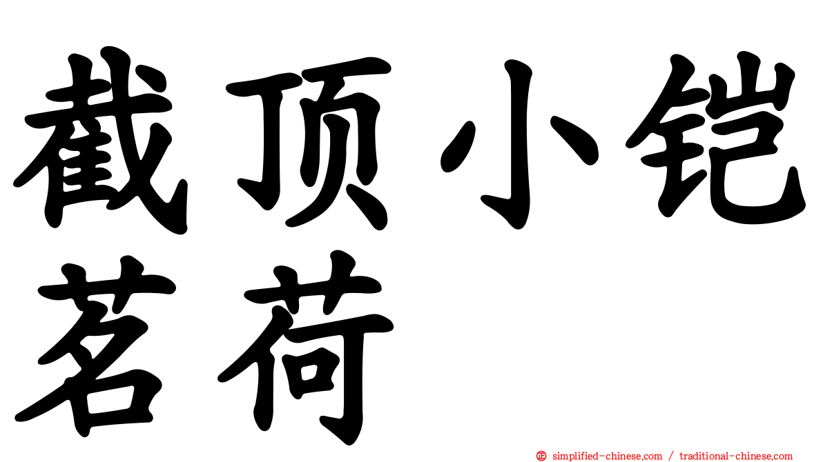 截顶小铠茗荷