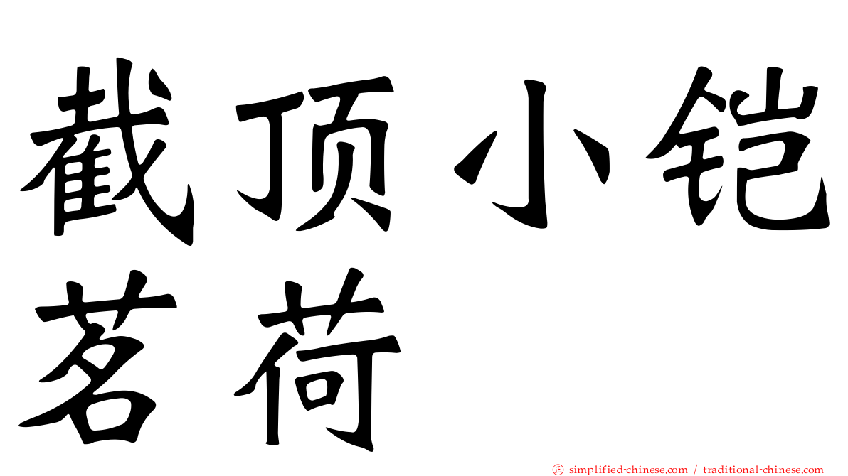 截顶小铠茗荷