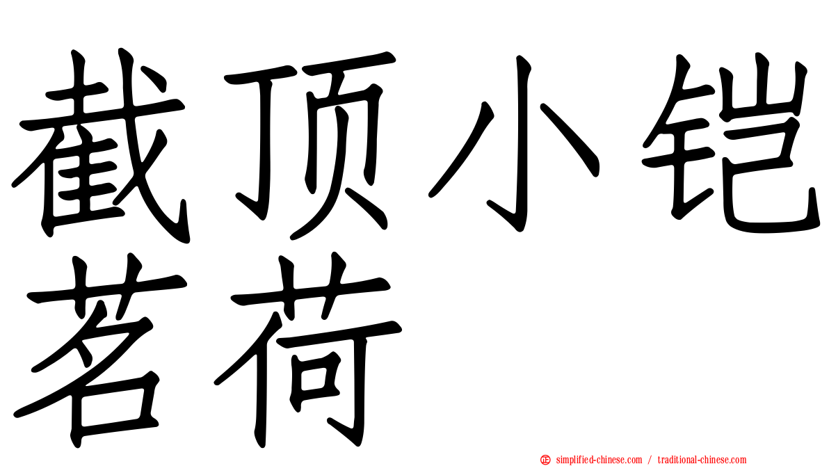 截顶小铠茗荷